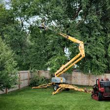 Best Firewood Processing and Delivery  in Troy Hills, NJ