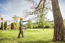 Best Tree Disease Treatment  in Troy Hills, NJ