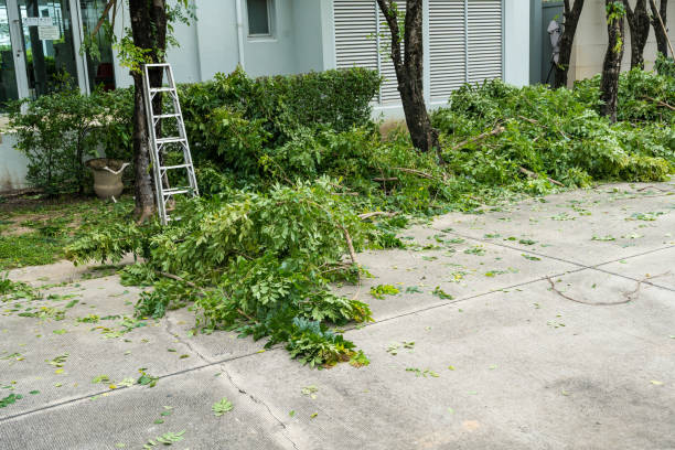 Best Tree Cabling and Bracing  in Troy Hills, NJ
